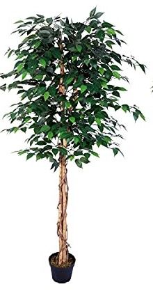 Photo 1 of AMERIQUE Pair Gorgeous 6 Feet Triple Tropical Palm Artificial Plant Tree with Standable Trunk, Real Touch Technology, with UV Protection, Green