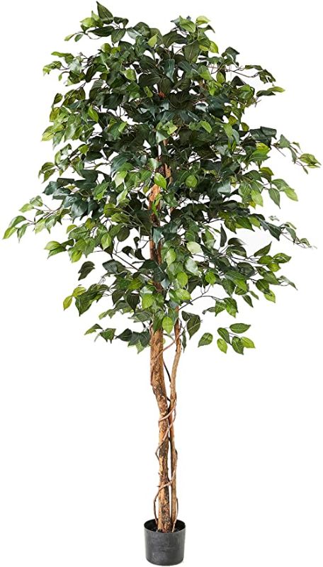 Photo 1 of Nearly Natural 6ft. Ficus Artificial Trees, 72in, Green & Golden Dieffenbachia with Decorative Planter, Green
