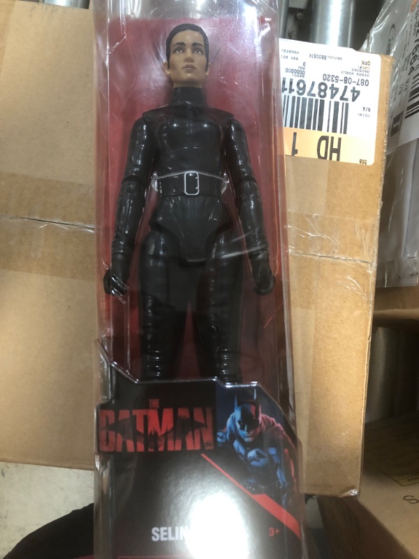 Photo 1 of *** WHOLE CASE OF 4***
 DC Comics Selina Kyle Action Figure (12 )
