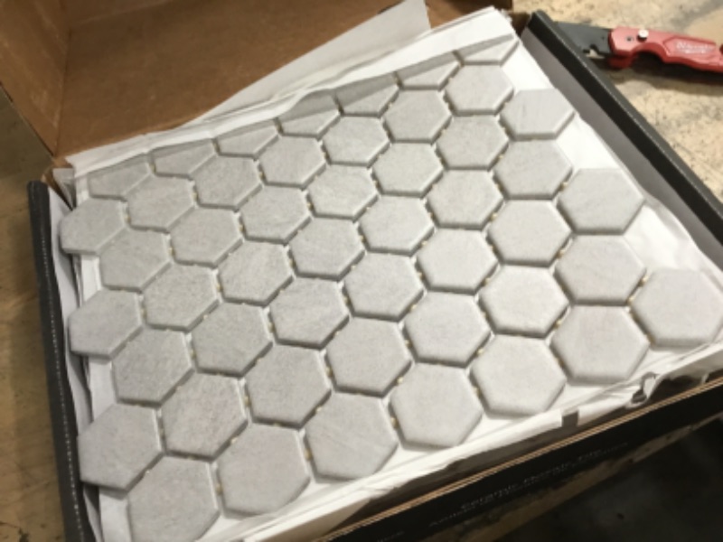 Photo 2 of 
Carrara 10 in. x 12 in. x 6.35 mm Ceramic Hexagon Mosaic Floor and Wall Tile (0.81 sq. ft./Each)