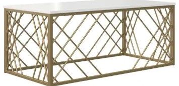 Photo 1 of **MINOR DAMAGE* Bradshaw White and Gold Rectangular 22 in. L Coffee Table