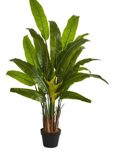 Photo 1 of 54" Artificial Traveler's Palm Tree in Pot Black - Nearly Natural

