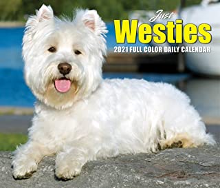 Photo 1 of Just Westies 2021 Box Calendar (Dog Breed Calendar)