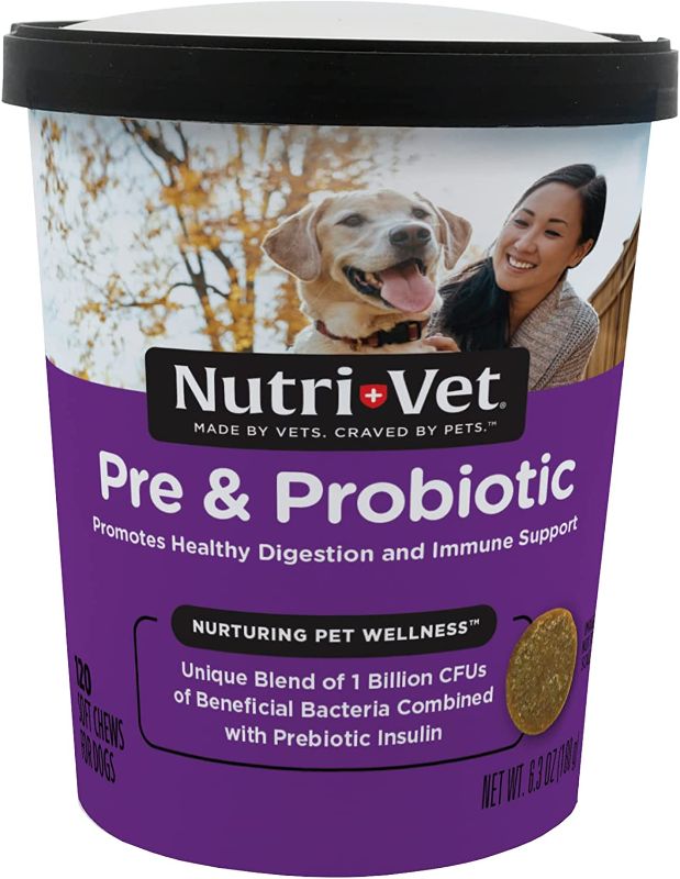 Photo 1 of 2 PACK (BB 02/23) Nutri-Vet Pre and Probiotic Soft Chews for Dogs | Digestive Health Support Dog Probiotics | Tasty Alternative to Dog Probiotic Powder | 120 Soft Chews | Liver, Cheese
