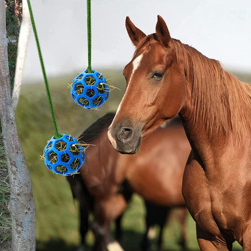 Photo 1 of ** SETS OF 4 **
Horse Ball Toy,Horse Treat Ball,Hay Feeder Toy Hanging Feeding Toy for Horse Horse Goat Sheep Relieve Stress and Boredom(2Pack)
 Measures 5.5 inch in diameter