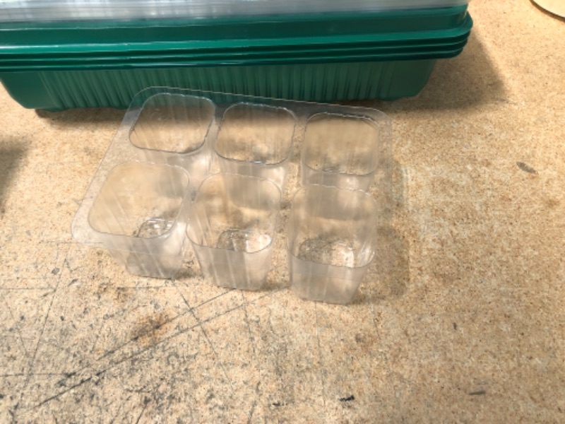 Photo 3 of Grenebo XL Seed Trays : Reusable 4 Pack Propagators BPA Free Seed Trays with Lids Humidity Adjustable for Greenhouse Plant Germination Seeds Starting
