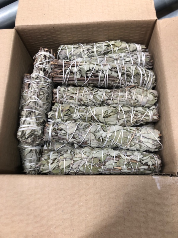 Photo 2 of 25 White Sage 4" ~ Sage Smudge Sticks for Smudging & Cleansing Energy ~ Bulk / Wholesale ~ Sustainably Grown (25 Pack)
