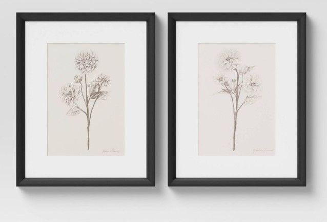 Photo 1 of (Set of 2) 16" x 20" Framed Floral Sketch Framed Wall Art White - Threshold™

