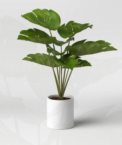 Photo 1 of 2 OF- 21" x 23" Artificial Monstera Arrangement in Ceramic Pot - Project 62™
