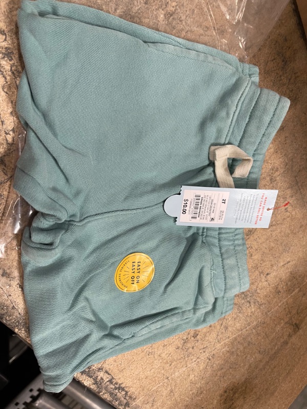 Photo 2 of PACK OF 12- Toddler Jogger Pants - Cat & Jack™ Ocean Green- SIZE 2T 

