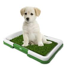 Photo 1 of Dog Potty Grass Pad, 3 Layer Pet Fake Grass Pee Mats with Tray, Puppy Potty Trainer, Reusable 30" x 20"
