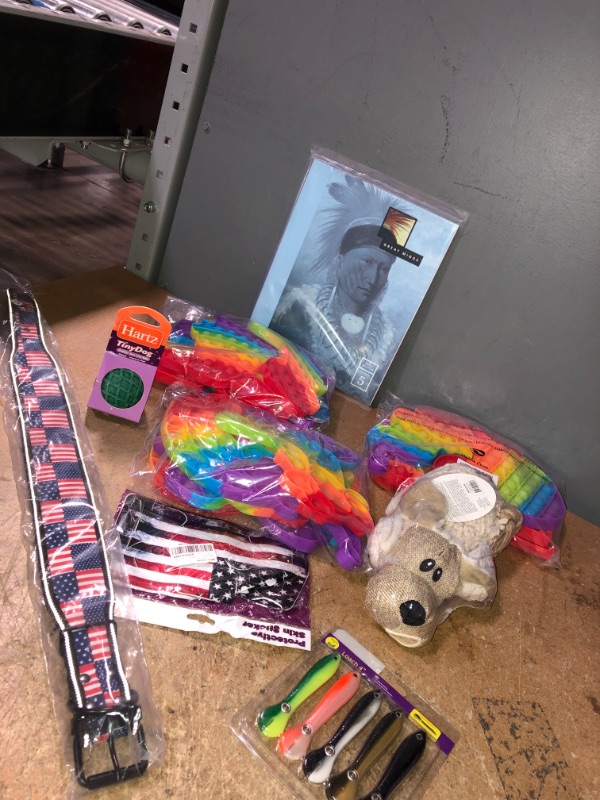 Photo 1 of *BUNDLE OF MIXED ITEMS-POP ITS, DOG TOYS,BELT, BOOK* 