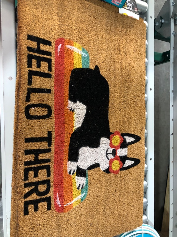 Photo 2 of 16x26 Hello Summer Dog Doormat Natural - Threshold