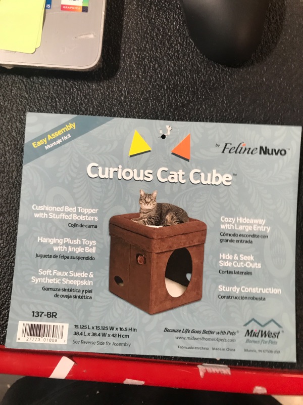 Photo 1 of Curious Cat Cube