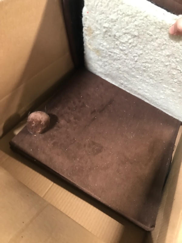 Photo 1 of Curious Cat Cube