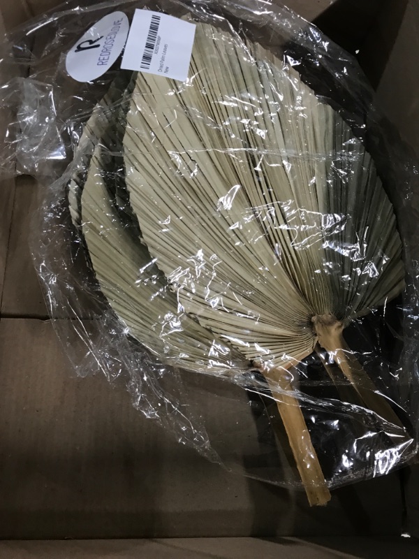 Photo 1 of 4Pcs Extra Large 23' Natural Dried Palm Leaves Dried Palm Fans Tropical Palm 