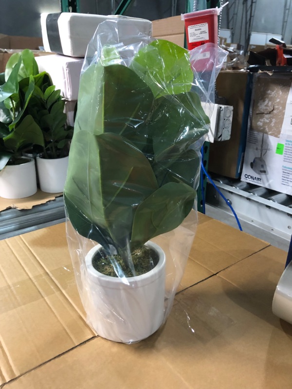 Photo 1 of 15 X 10 Artificial Fiddle Leaf Plant in Pot - Threshold
