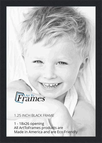 Photo 1 of 18x26 inch Black Picture Frame,