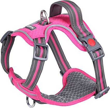 Photo 1 of *SEE NOTES*
VIVAGLORY No Pull Dog Harness VIVAGLORY No Pull Dog Harness Pink