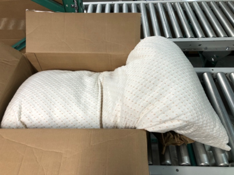 Photo 3 of [USED] ELEMUSE Full Body Pillow  20'' X 54''