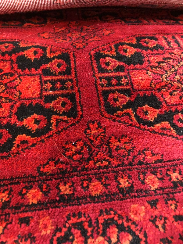 Photo 4 of [USED] nuLOOM Diandra Traditional Motif Area Rug, Red