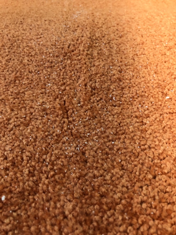 Photo 1 of [USED] 7x7 foot Every Day Solid Orange Rug