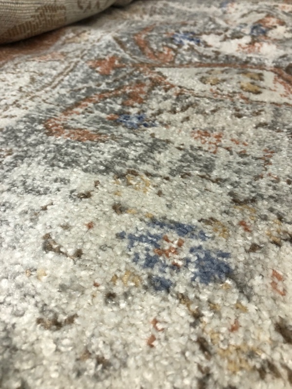 Photo 2 of [USED] nuLOOM Jacquie Vintage Floral Area Rug - Silver