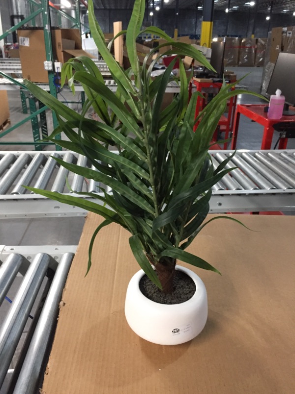 Photo 1 of 27" x 16" Artificial Potted Palm Green/White - Project 62™