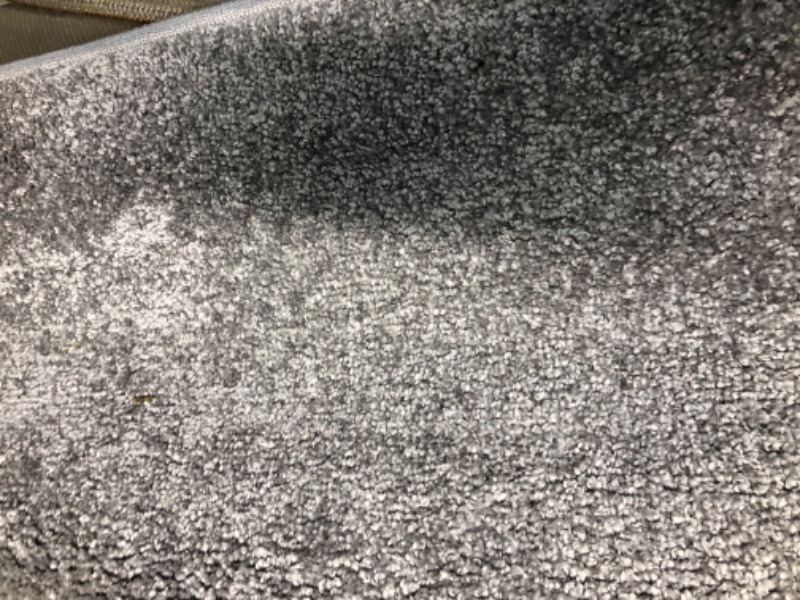 Photo 1 of  Cloud Gray Shag Rug 