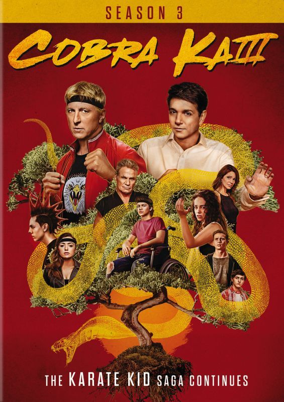 Photo 1 of **Brand New** Cobra Kai: the Complete Third Season (DVD)