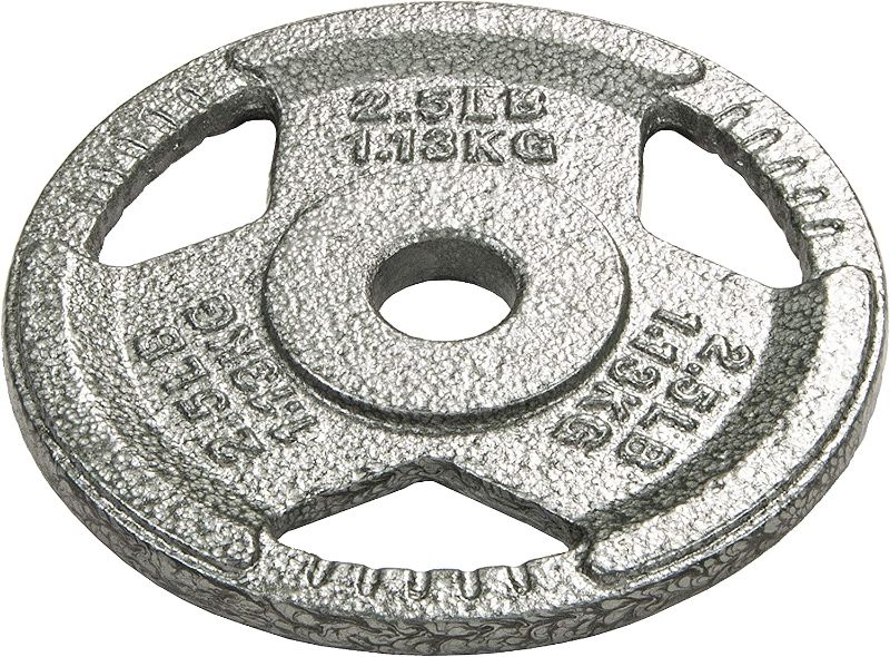 Photo 1 of (READ NOTES) 2 Powergainz Standard 1-Inch Cast Iron Plate Weight Plate for Strength Training and Weightlifting,Gray POG-1INIP-2.5X2