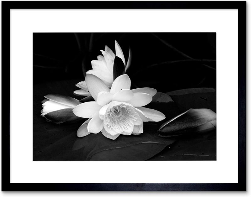 Photo 1 of 9 Pack assorted framed black and white flower pictures (unknown manufacturer)