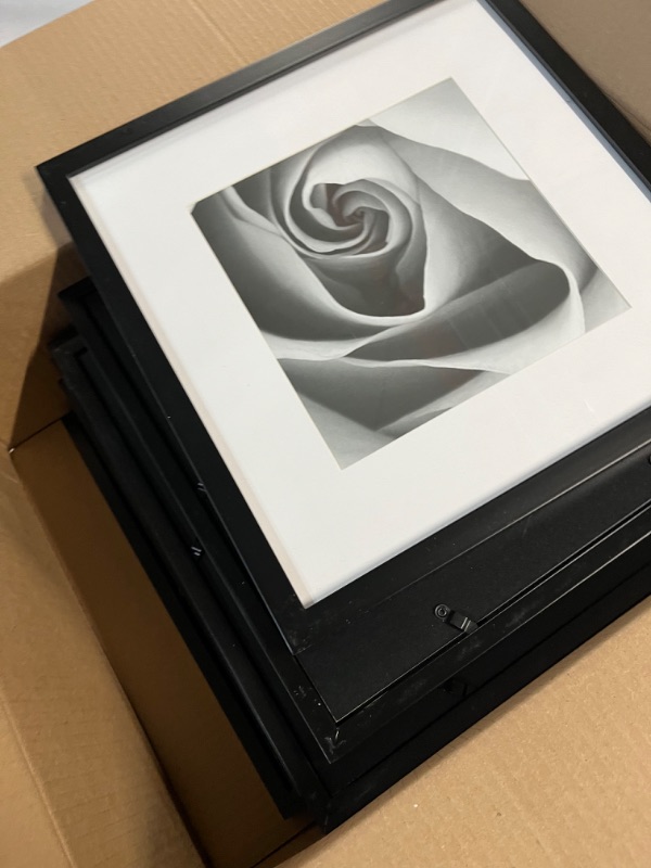 Photo 2 of 9 Pack assorted framed black and white flower pictures (unknown manufacturer)