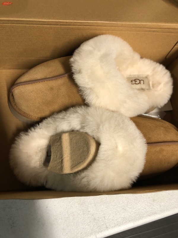 Photo 2 of UGG Women's Disquette Slipper 7 Chestnut