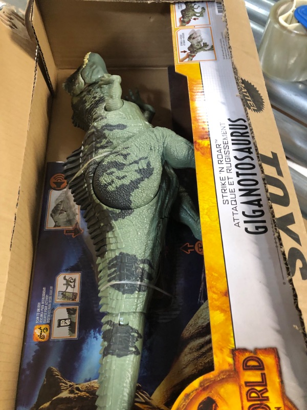 Photo 2 of Jurassic World Dominion Dinosaur Toy, Strike N Roar Giganotosaurus, Action Figure with Striking 