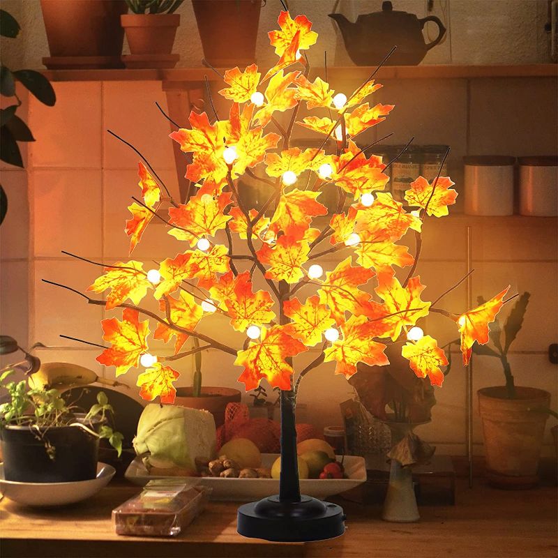 Photo 1 of abletop Maple Tree Lamp 24 Led Bonsai Tree Light with 8 Lighting Modes Small Light Up Tree with Timer