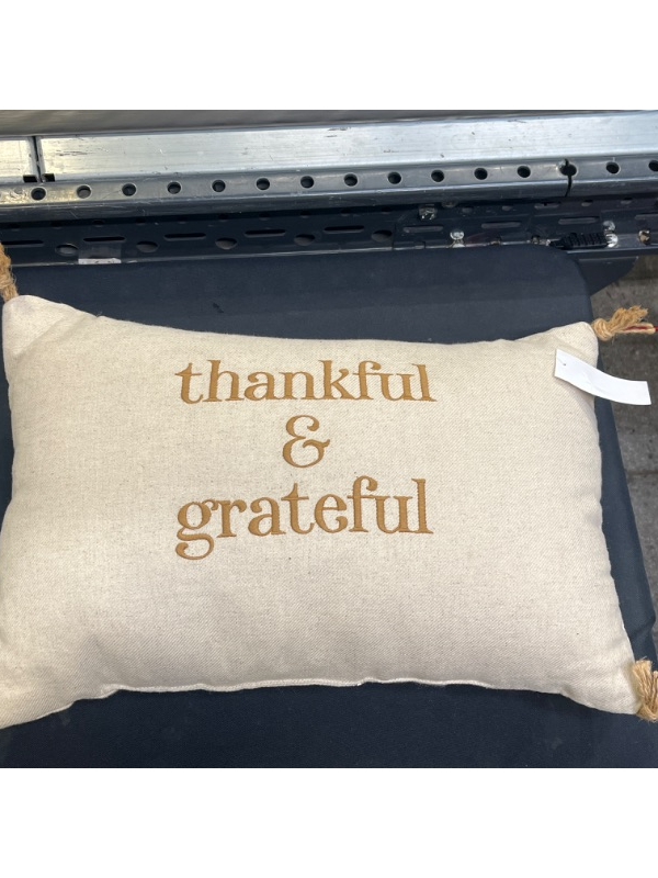 Photo 2 of 'Thankful & Grateful' Embroidered Lumbar Throw Pillow Cream/Brown - Threshold™

