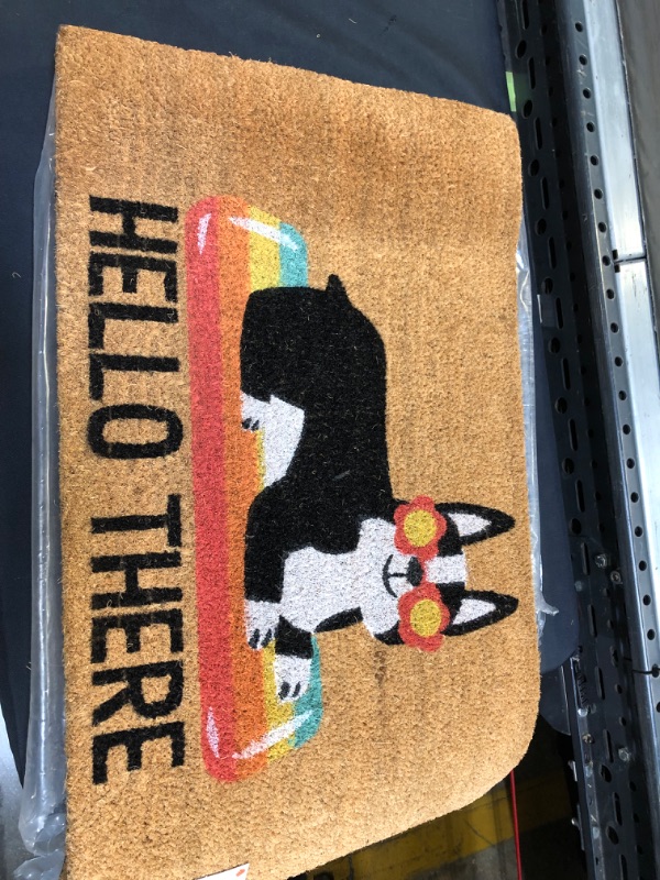 Photo 2 of 1'6"x2'6" Hello Summer Dog Doormat Natural - Sun Squad™

