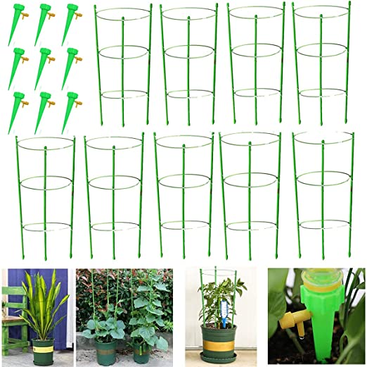 Photo 1 of 7Queen Updated 18" Plant Support Tomato Cage with 3 Adjustable Rings, Trellis Garden Basket for Climbing Plants Garden Stakes, Plant Trellis Kits with 9 Self Watering Spikes 9 Pack
