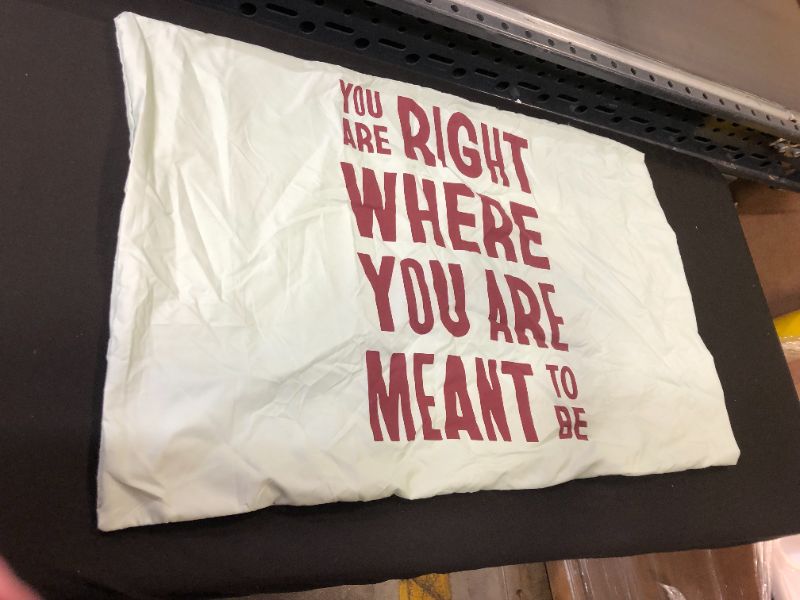 Photo 1 of 1 Pillow Cover **you are right where you are meant to be** Size 30'' Inches x 19'' Inches 