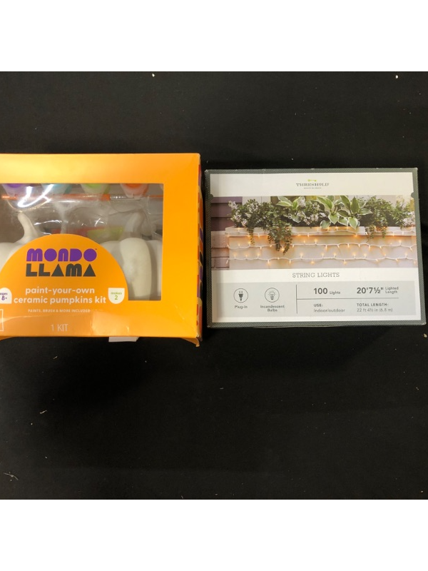 Photo 1 of 100ct Incandescent Outdoor String Mini Lights White - Threshold
plus a 
2pk Paint-Your-Own Ceramic Pumpkin with Spider and Pirate Stickers - Mondo Llama