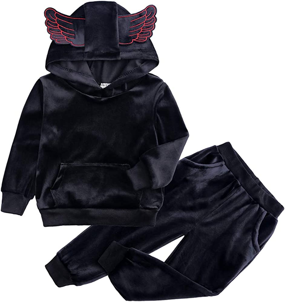 Photo 1 of Boys Girls Velvet Hooded Tracksuit Sweatshirt Top + Sweatpants Hoodie Outfit Set - SIZE 2T-3T -