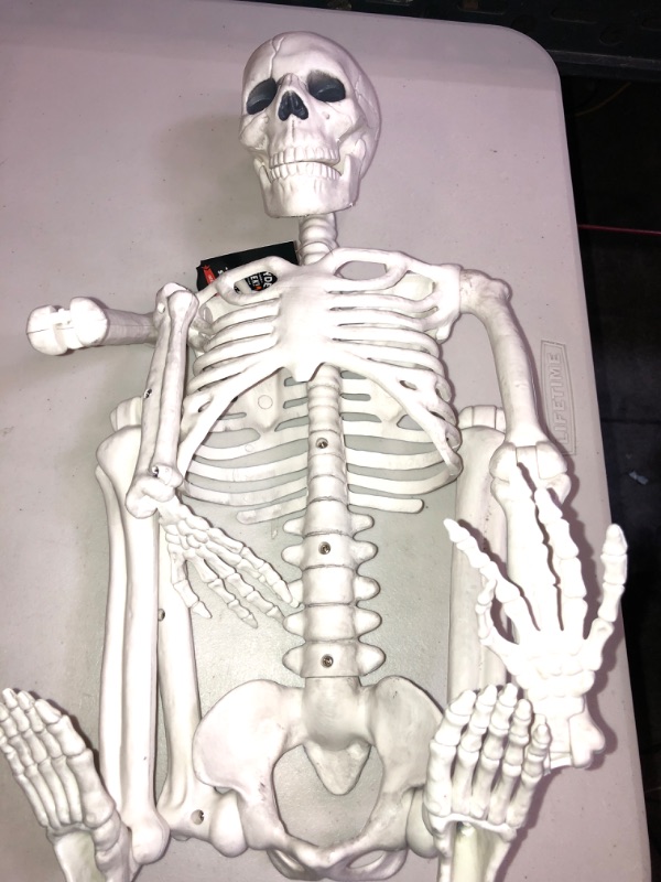 Photo 2 of 36" Posable Skeleton Halloween Decorative Mannequin - Hyde & EEK! Boutique™