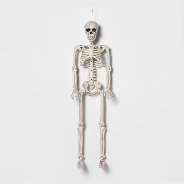 Photo 1 of 36" Posable Skeleton Halloween Decorative Mannequin - Hyde & EEK! Boutique™