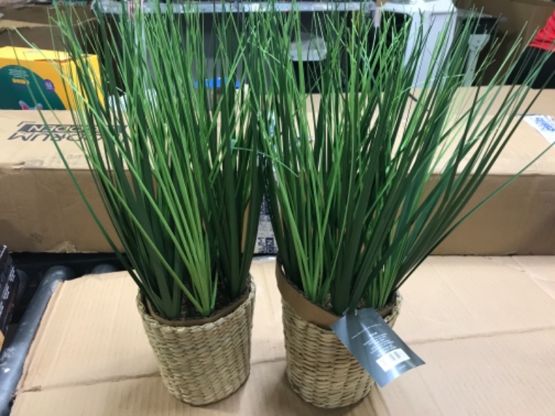 Photo 2 of 2 pcs Small Potted Grass in Basket - Threshold--small 