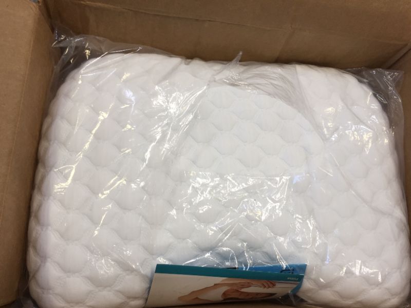 Photo 1 of 18 X 24 SLEEPINNOVATIONS PILLOW 