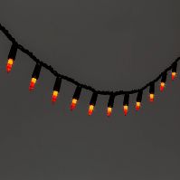 Photo 1 of 100ct Incandescent Halloween Mini String Lights Flashing Orange - Hyde & EEK! Boutique
with Halloween socks