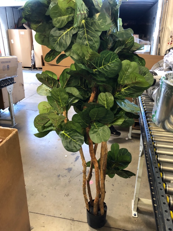 Photo 2 of 6 ft. Artificial Fiddle Leaf Fig Tree - falling apart 