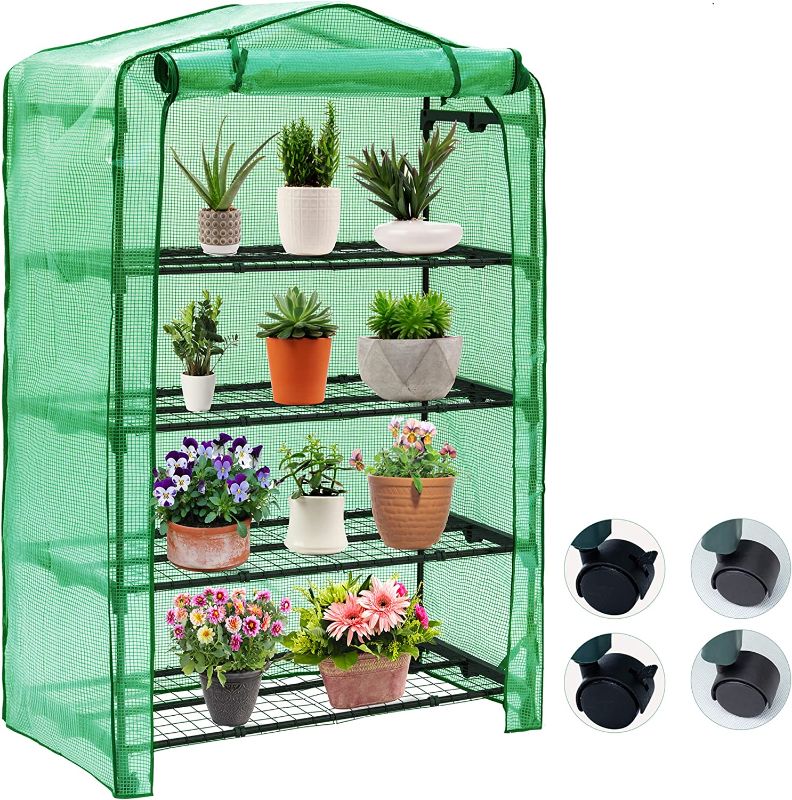 Photo 1 of  Mini Greenhouse for Indoor Outdoor