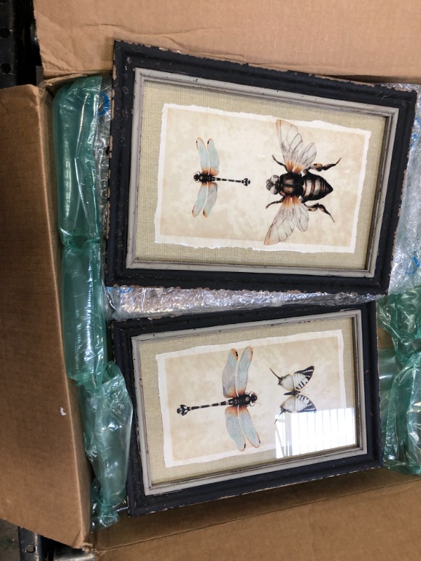 Photo 2 of "Vintage Insect" Wood Framed Nature Wall Art Print Designs 13.4 in. x 9.5 in. . (Set of 4)